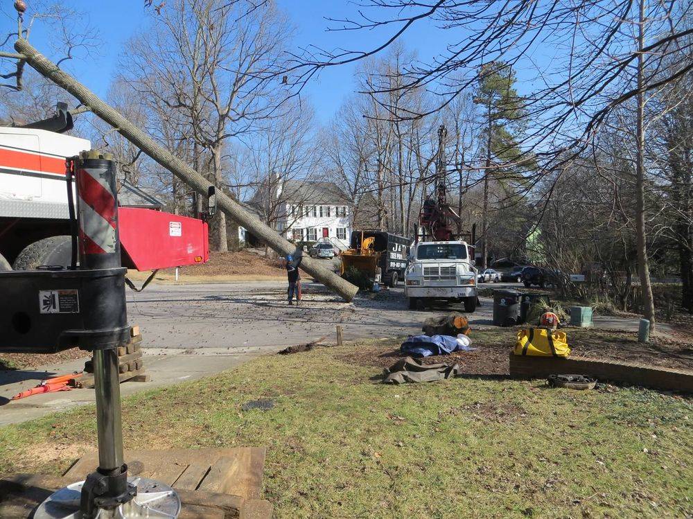 Perry Tree Service hazardous Tree Removal